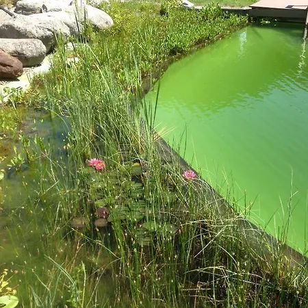 아파트 Heinzle - Ihr 셍트쟈콥인데퍼러겐